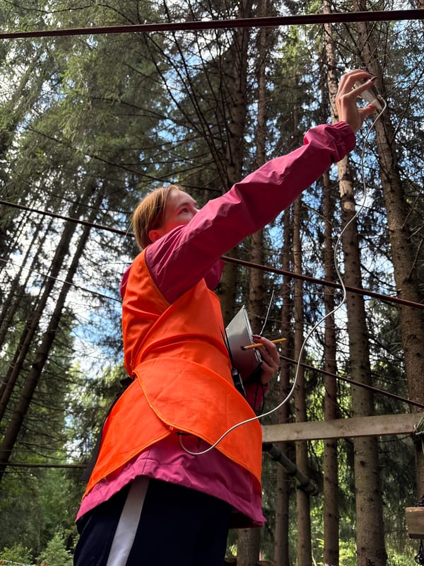 High ropes course day in a Сергино pine forest
