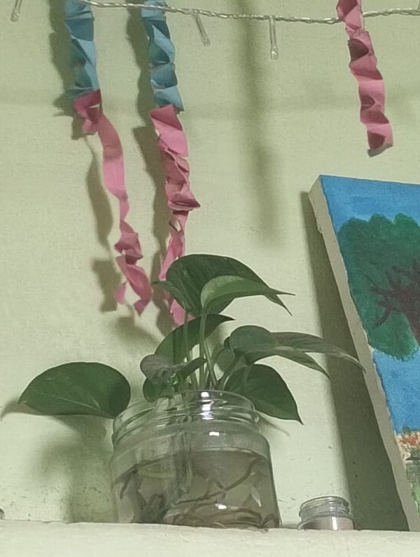 Indoor plant display with artwork captured in Dhaka residence