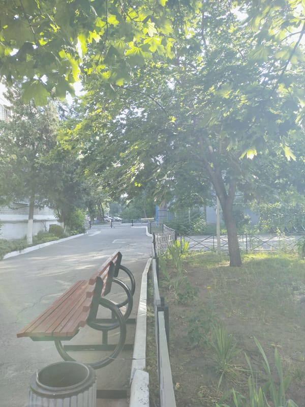 Lazy summer evening around a Horishni Plavni market and garden