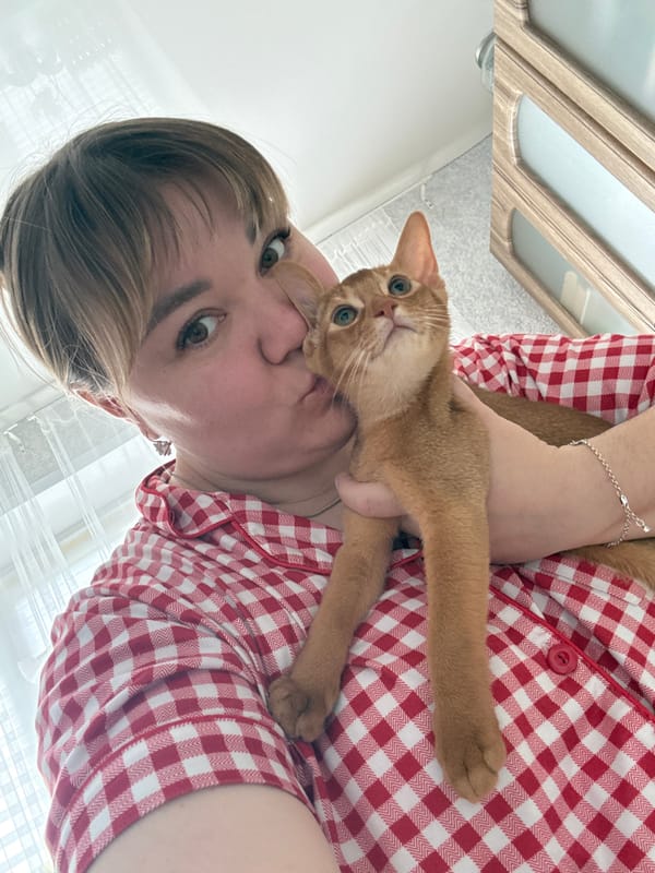 Lazy morning selfies with a ginger cat in Stary Oskol