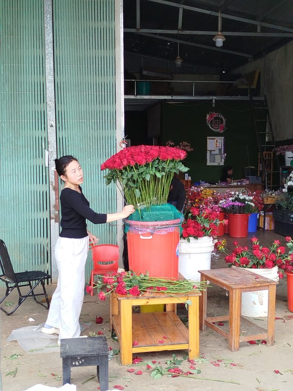Morning flower market activity documented in Đà Lạt Vietnam