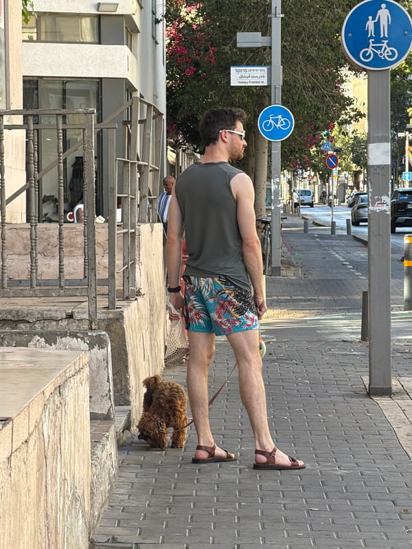 Everyday moments captured in Tel Aviv afternoon scenes