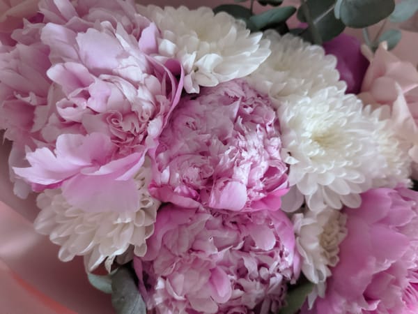 Flowers, sushi prep, and Krasnoyarsk courtyards on a quiet afternoon