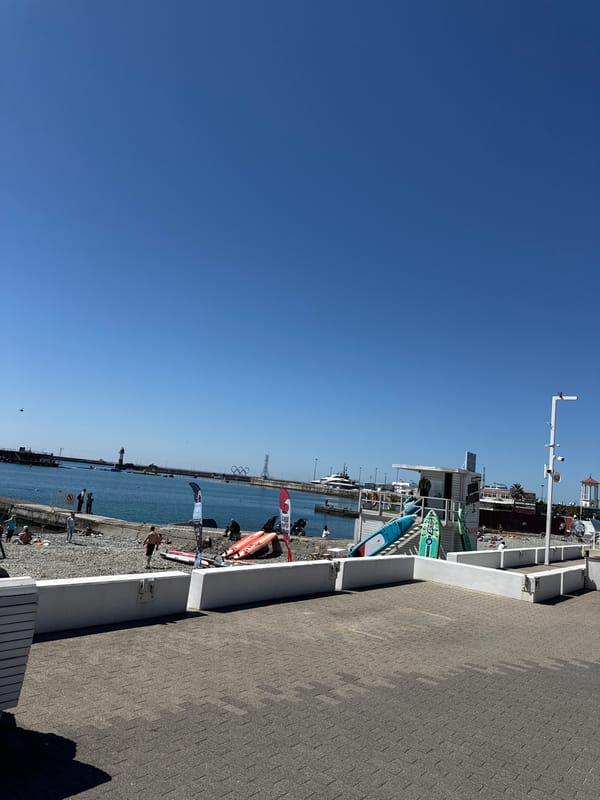 Sunny morning stroll through waterfront recreation area with carousel