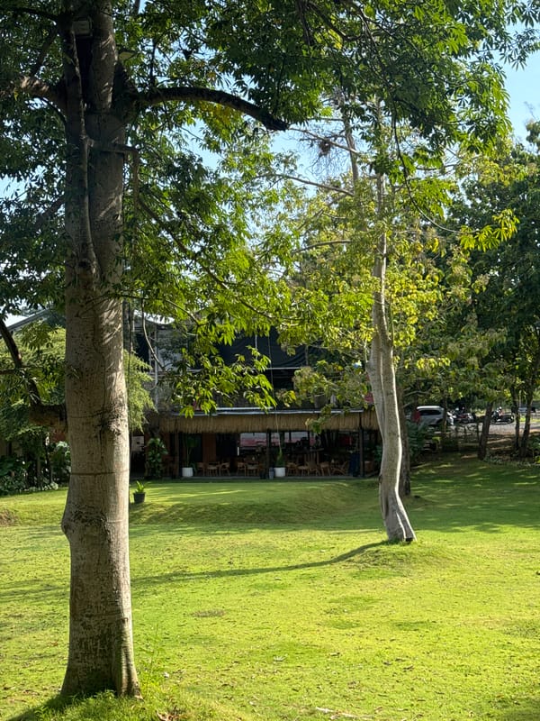 Quiet moments: park grounds and stuffed frog toy documented