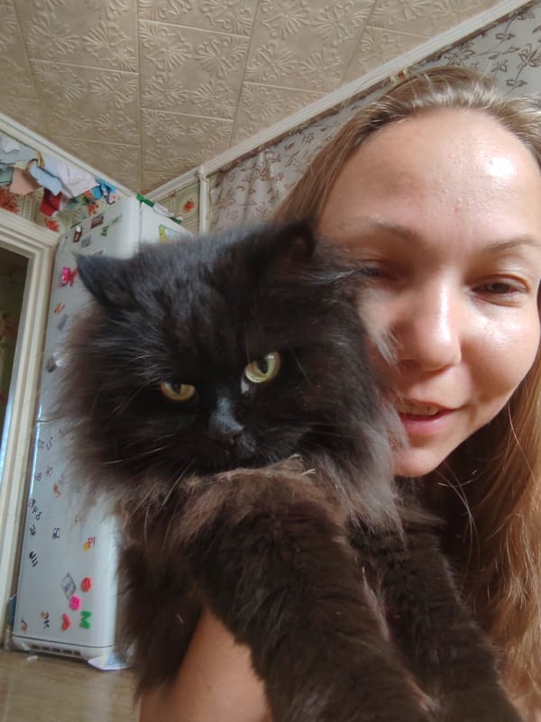 Lazy summer morning in rural Чухлэм — flowers, a cat, fresh air.