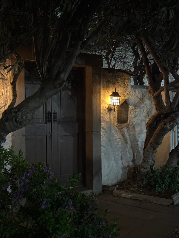 Traditional door captured in nighttime Bodrum street scene