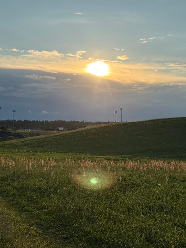 Midsummer afternoon life on a Lithuanian rural property