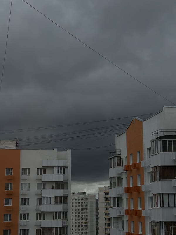 Casual morning at home in Khimki with parrots, crafts, and city views