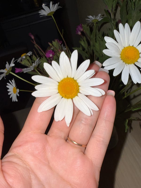 Wildflower bouquets and quiet home scenes in Saint Petersburg