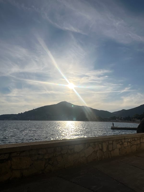 Morning fishing and coastal observations documented in Budva, Montenegro