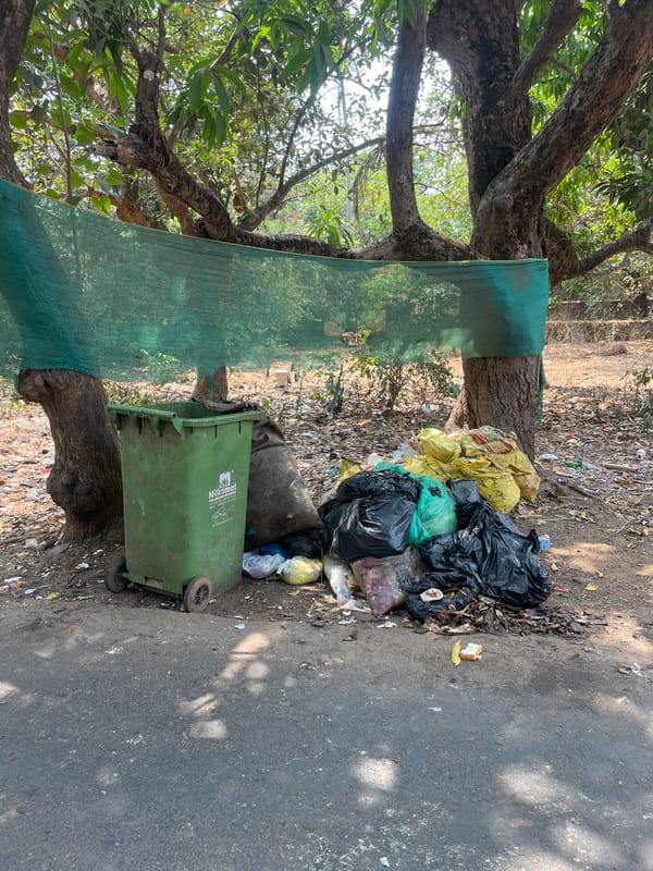 Daily scenes documented across Oxel, India locations