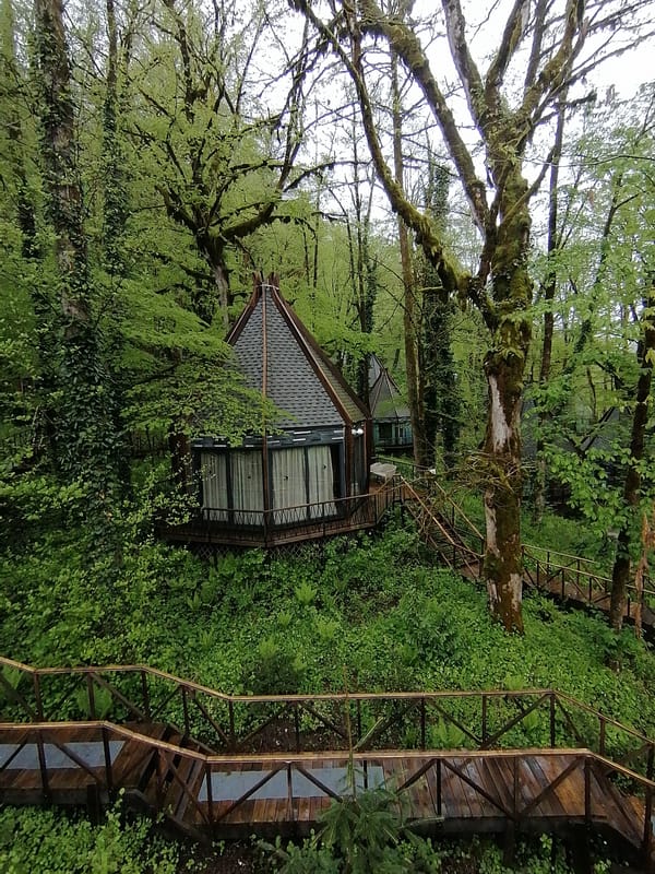Forest cabins with walkways spotted in Medoveevka, Russia