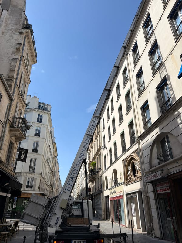 Clear skies frame Parisian building facades in afternoon scene