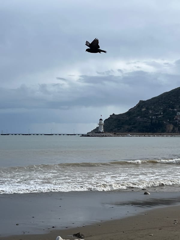Tourist captures mixed scenes of Alanya coastline and city life