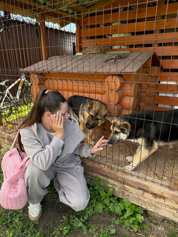 Lazy afternoon in rural Andreyevo with dogs, fields, and dirt roads