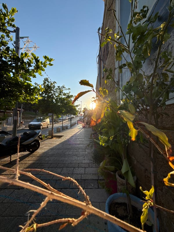 Golden hour in Tel Aviv's old cobblestone alleys and streets
