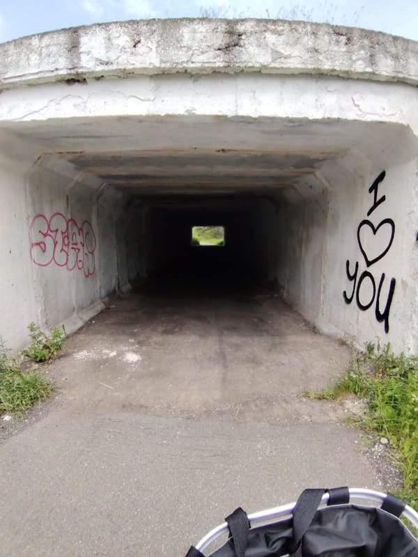 Cyclist documents wildflowers and graffiti across rural Belarus countryside