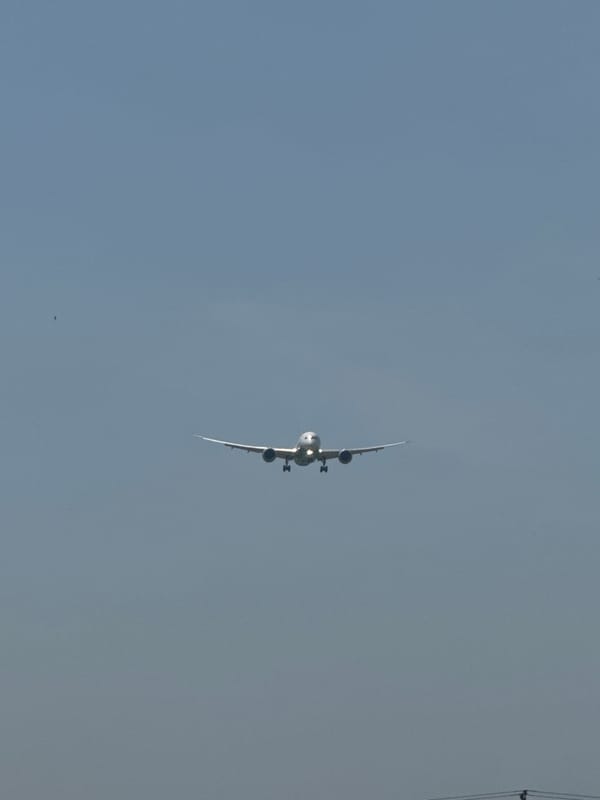 Aircraft and onion fields observed in Tashkent agricultural area