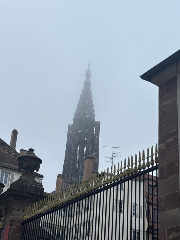 Gym workout and Strasbourg sightseeing documented by single witness