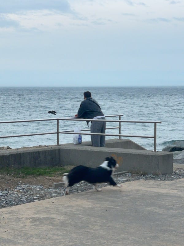 Coastal scenes captured along Black Sea in Batumi