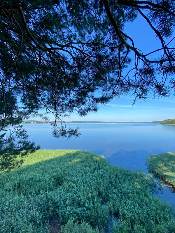 Lakeside deck moment in Votkinsk on a clear summer morning