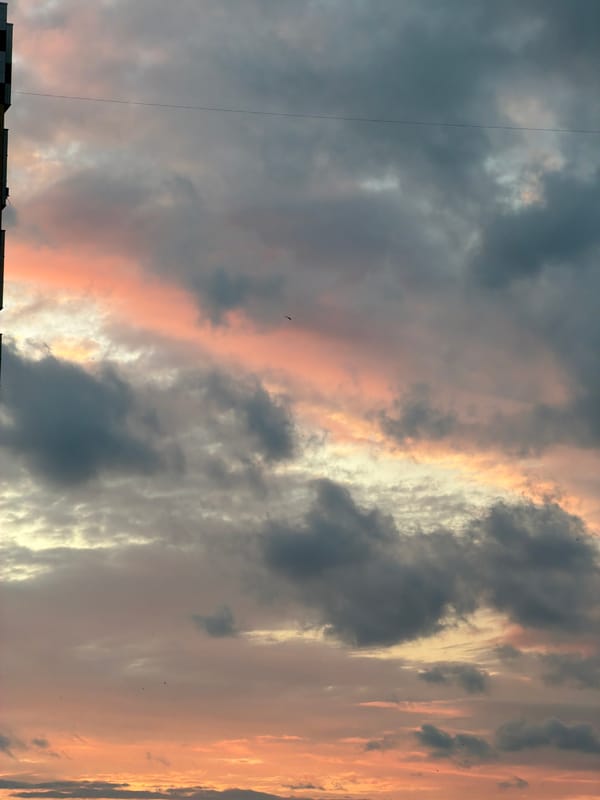 Urban sunset and Pomeranian dog documented during evening hours