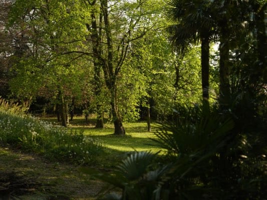 Family enjoys afternoon barbecue gathering in Erba park
