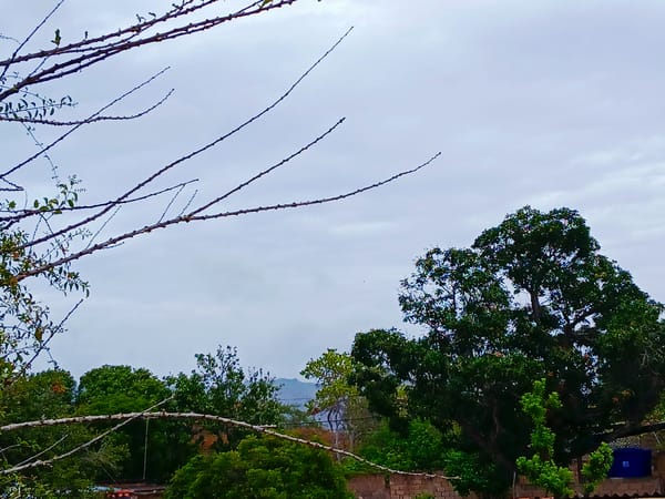 Overcast skies documented in La Tagua, Venezuela