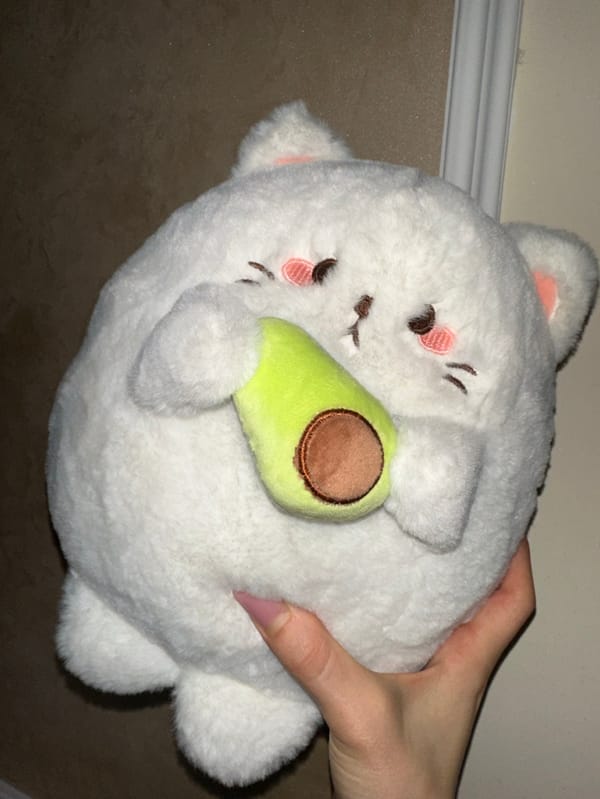 Plush toy collection documented in Yerevan Armenia afternoon