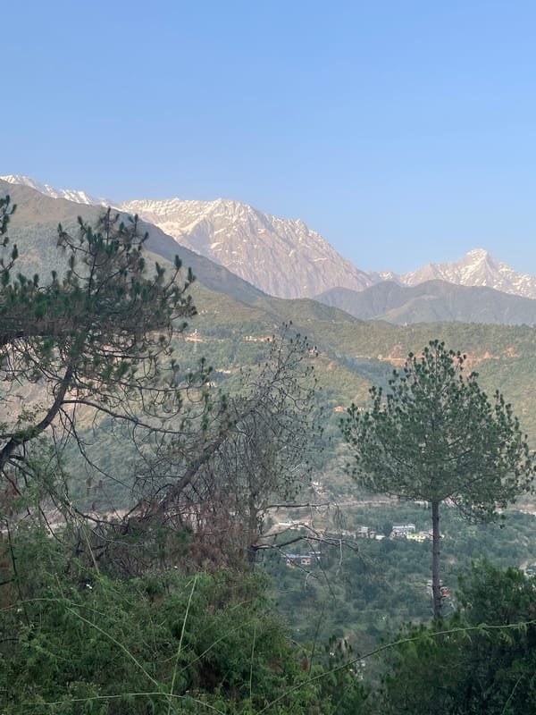 Daily life scenes captured across Dharamshala mountain town