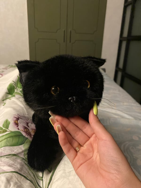 Black plush cat toy photographed up close in a Derbent bedroom