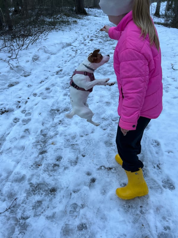Child plays blindfolded snow games with dog in Russian forest