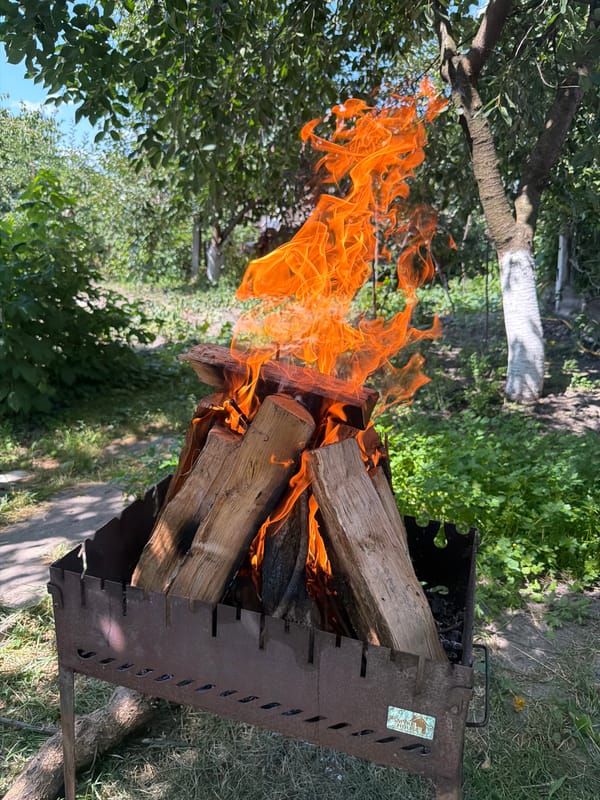 Wood fire burning in a metal grill, Polonne backyard