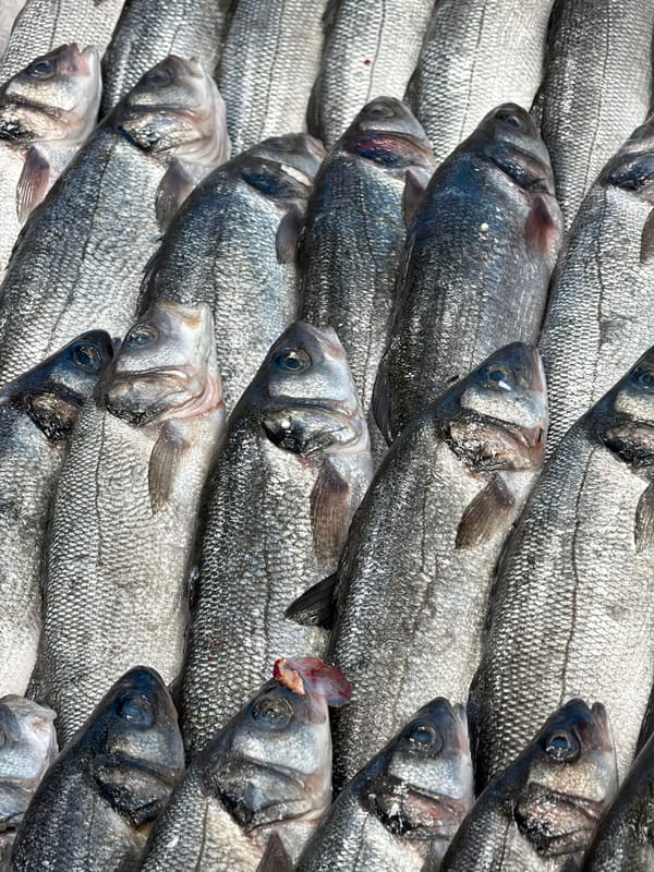 Seafood market operations documented across Moscow area