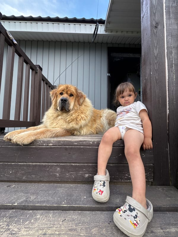 Toddler, golden dog, and kitten hang out on a Russian porch