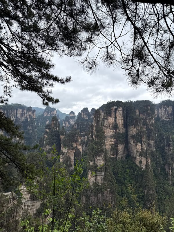 Morning photography session captures Zhangjiajie's iconic Avatar Mountains formations