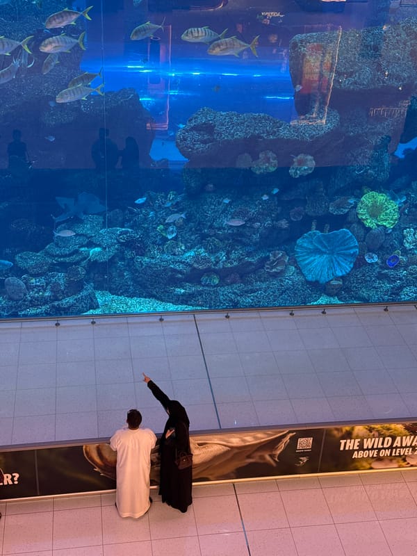 Couple views aquarium with fish and stingrays in Dubai