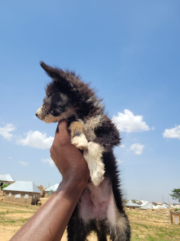 Daily life moments captured in Nigerian village