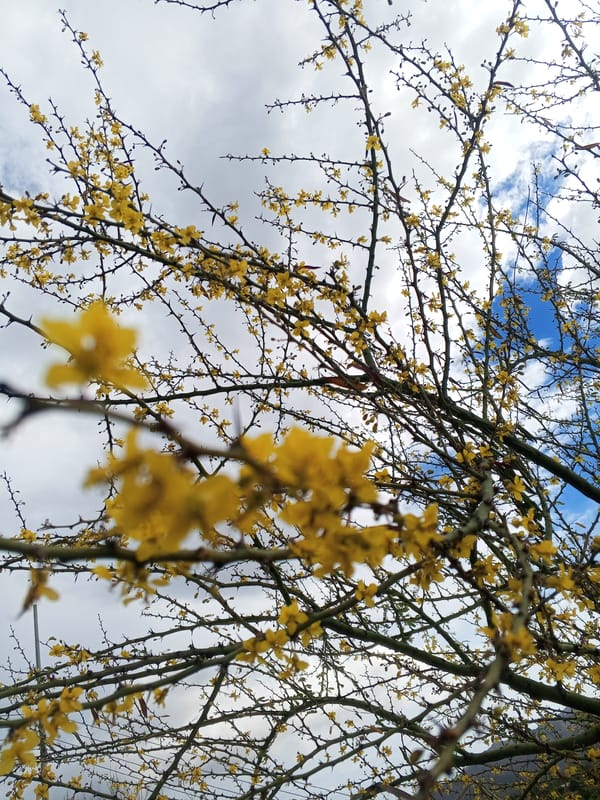 Everyday landscape documented in Juan Griego, Venezuela