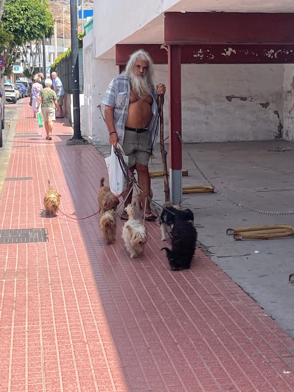 Man walks multiple dogs on commercial sidewalk in Puerto Rico