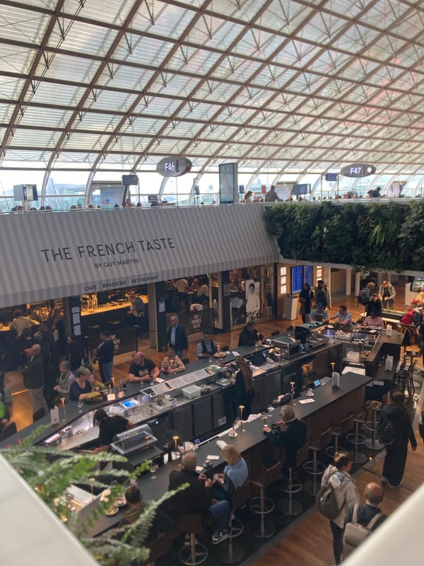Bird spotted inside airport restaurant in Le Mesnil-Amelot