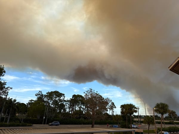 Dense storm clouds observed over Lely, Florida