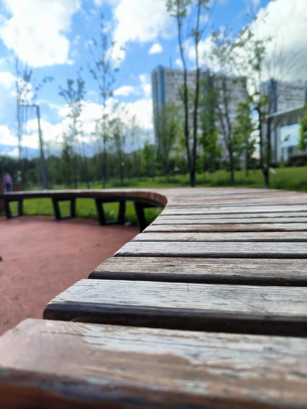 Quiet afternoon in a Moscow park, nature details and parked scooters
