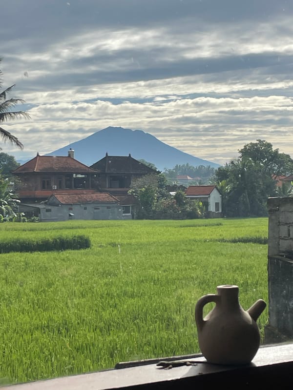 Rural tropical morning captured: rice fields, flowers, coffee ritual