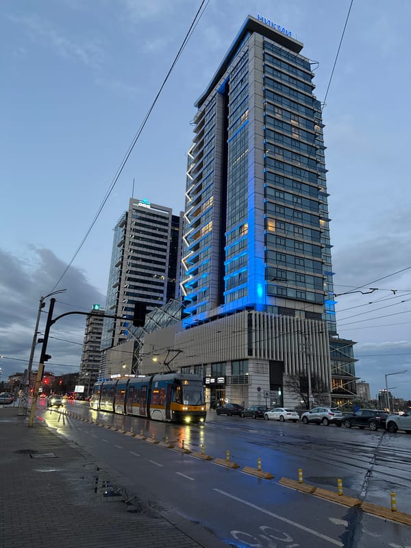 Diner documents Asian cuisine experience in Sofia