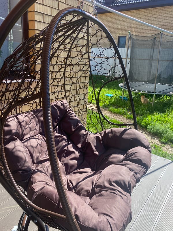 Backyard morning in Kazan: cats, a dog, and a hanging chair