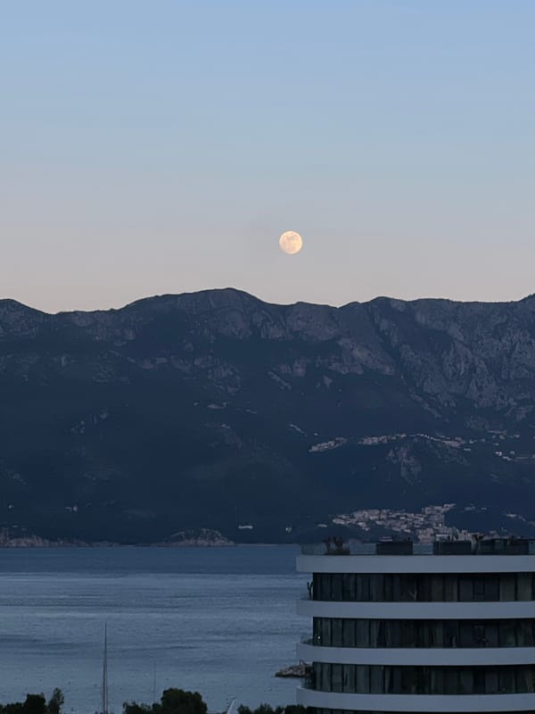 Anonymous witness captures spring flora and coastal scenes in Budva