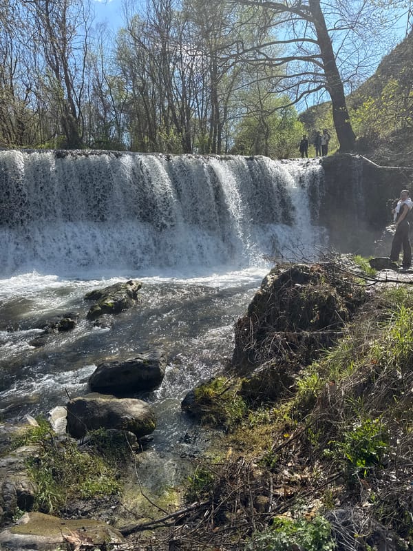 Waterfall documented in Parvenets, Bulgaria amid spring woodland setting