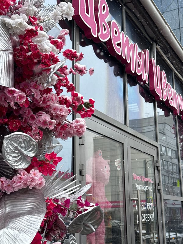 Light snowfall observed in Krasnoyarsk streets, commercial areas